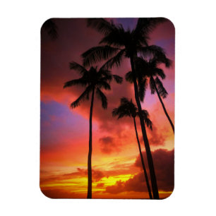 Tropical Beaches Maui Hawaii Islands Magnet