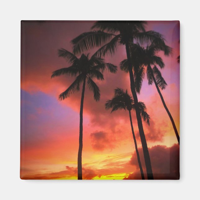 Tropical Beaches | Maui Hawaii Islands Magnet (Front)