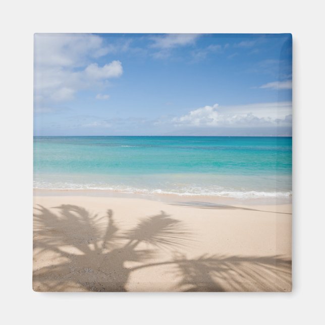Tropical Beaches | Maui, Hawaii Magnet (Front)