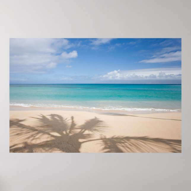 Tropical Beaches | Maui, Hawaii Poster (Front)