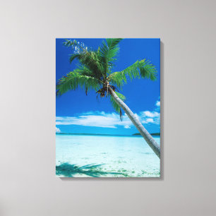 Tropical Beaches Motu Tofari Beach, Bora Bora Canvas Print
