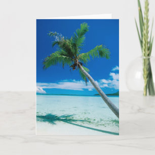 Tropical Beaches   Motu Tofari Beach, Bora Bora Card