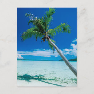 Tropical Beaches   Motu Tofari Beach, Bora Bora Postcard