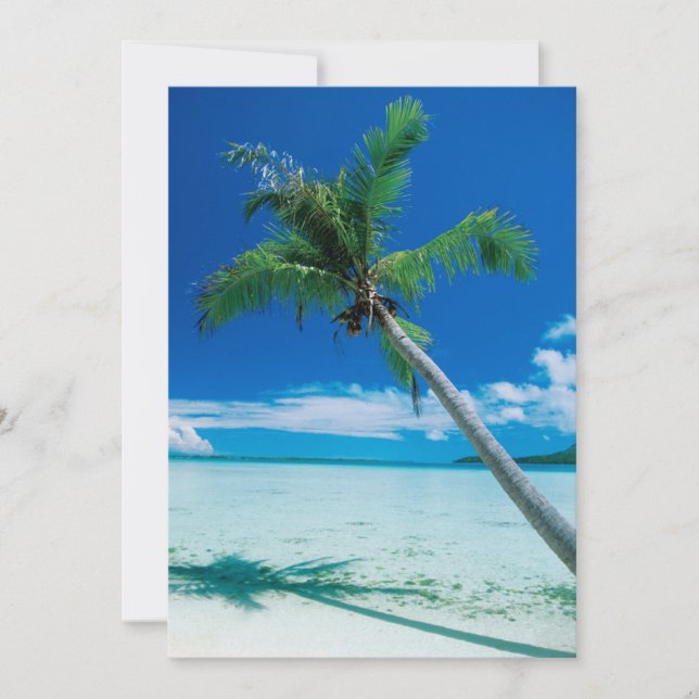 Tropical Beaches | Motu Tofari Beach, Bora Bora Thank You Card (Front)