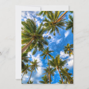 Tropical Beaches Palm Trees on Blue Sky Thank You Card