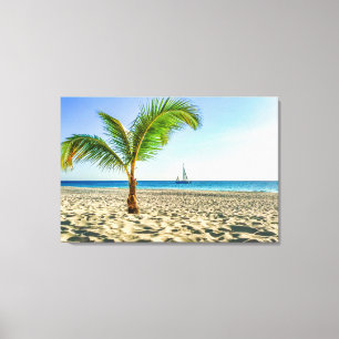 Tropical Beaches Sailboat, Palm Tree, Aruba Canvas Print