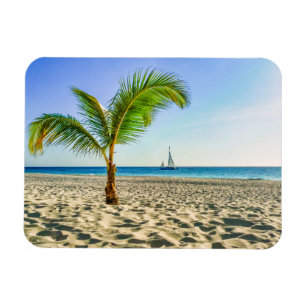 Tropical Beaches   Sailboat, Palm Tree, Aruba Magnet