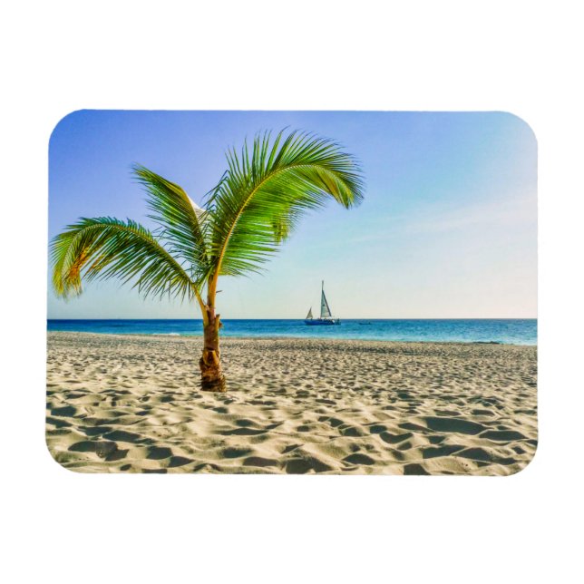 Tropical Beaches | Sailboat, Palm Tree, Aruba Magnet (Horizontal)