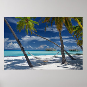 Tropical Beaches   Sandy Beach, Maldives Poster