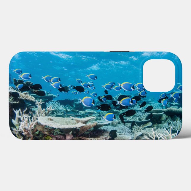 Tropical Beaches | Sturgeon Amongst Coral Case-Mate iPhone Case (Back (Horizontal))