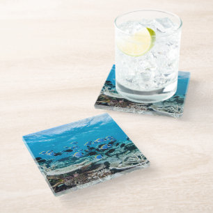Tropical Beaches   Sturgeon Amongst Coral Glass Coaster
