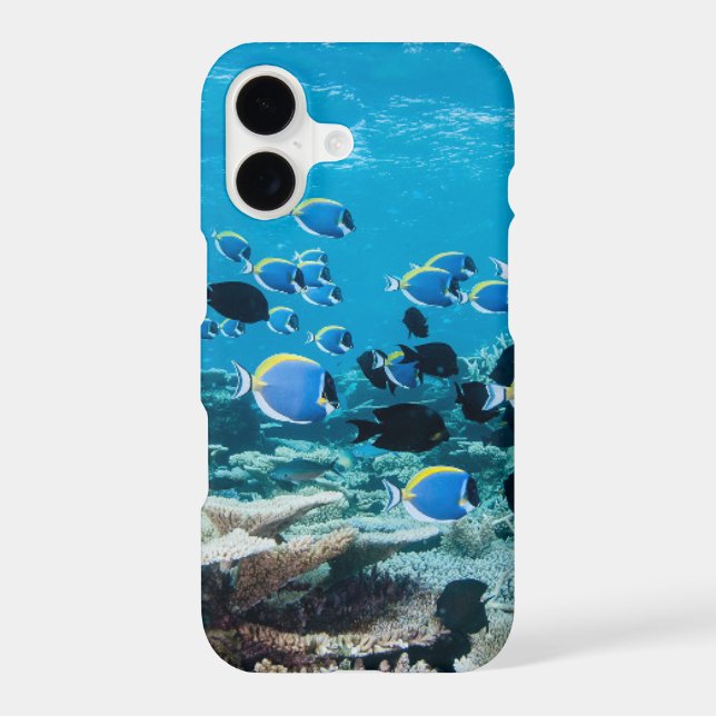 Tropical Beaches | Sturgeon Amongst Coral iPhone Case (Back)