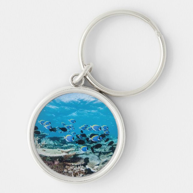 Tropical Beaches | Sturgeon Amongst Coral Key Ring (Front)