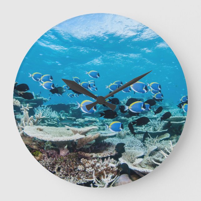 Tropical Beaches | Sturgeon Amongst Coral Large Clock (Front)