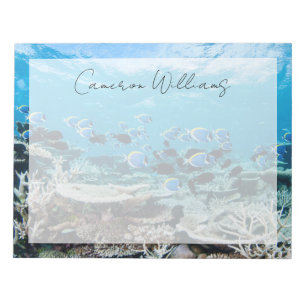 Tropical Beaches Sturgeon Amongst Coral Notepad