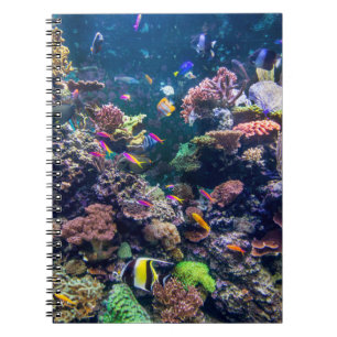 Tropical Beaches Underwater Coral Reef Notebook