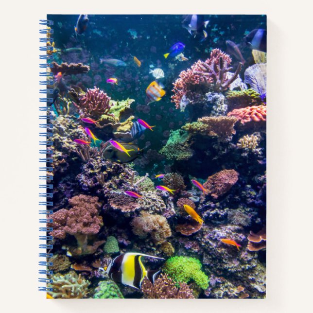 Tropical Beaches | Underwater Coral Reef Notebook (Front)