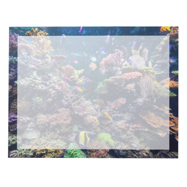 Tropical Beaches | Underwater Coral Reef Notepad (Front)