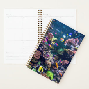 Tropical Beaches Underwater Coral Reef Planner