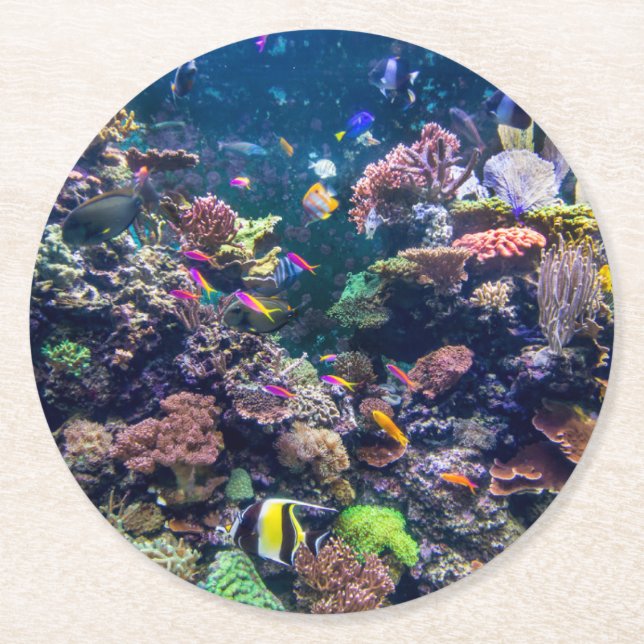 Tropical Beaches | Underwater Coral Reef Round Paper Coaster (Front)