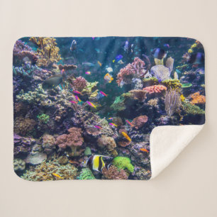 Tropical Beaches Underwater Coral Reef Sherpa Blanket