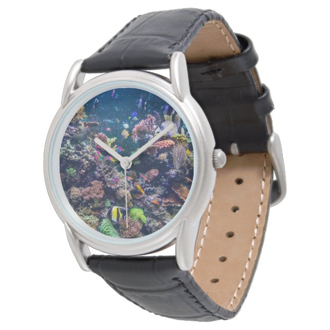 Tropical Beaches | Underwater Coral Reef Watch (Angled)