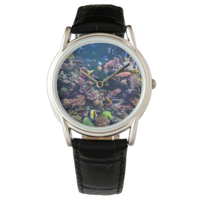 Tropical Beaches | Underwater Coral Reef Watch (Front)
