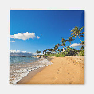 Tropical Beaches Wailea, Maui, Hawaii Magnet