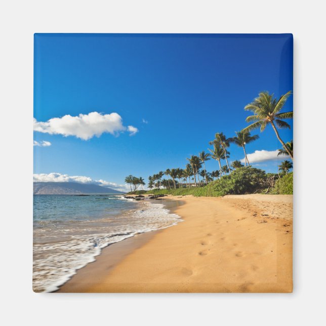 Tropical Beaches | Wailea, Maui, Hawaii Magnet (Front)