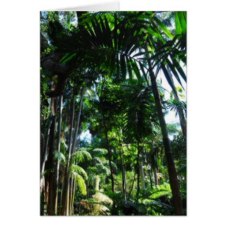 Tropical Beauty