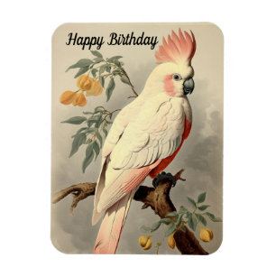 Tropical Bird Birthday Photo Magnet