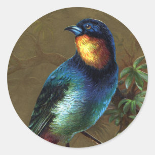 Tropical Bird Happy New Year Classic Round Sticker