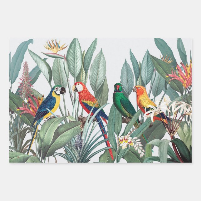 TROPICAL BIRD LANDSCAPE Wrapping Paper Sheet Set (Front)