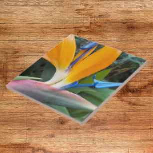 Tropical Bird of Paradise Bloom Floral Tile