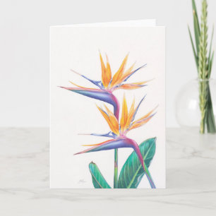 Tropical Bird of Paradise Flowers Greeting Card