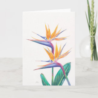 Tropical Bird of Paradise Flowers Greeting Card