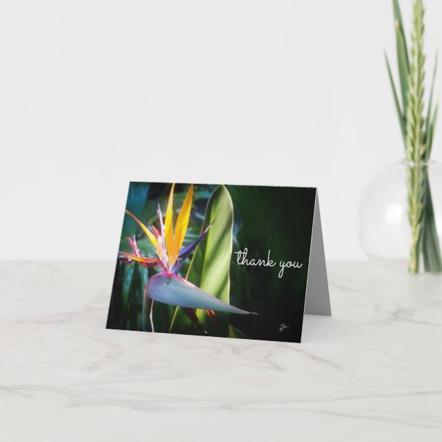 Tropical Bird of Paradise Nature Photo Thank You Card (Front)