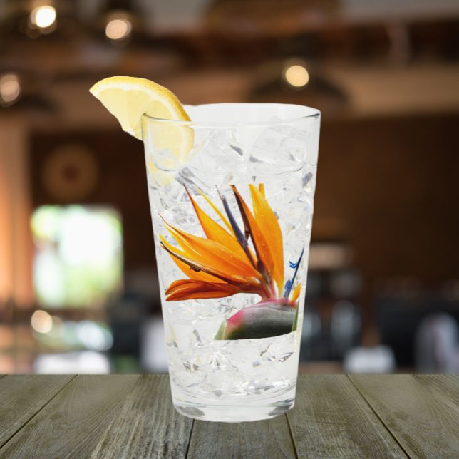 Tropical Bird of Paradise Plant Floral Glass (In Situ)