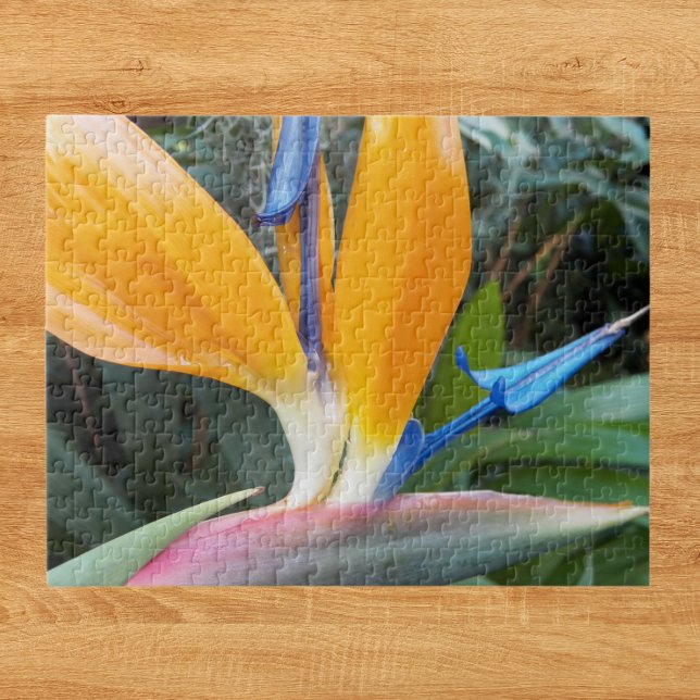 Tropical Bird of Paradise Plant Floral Jigsaw Puzzle (In Situ)