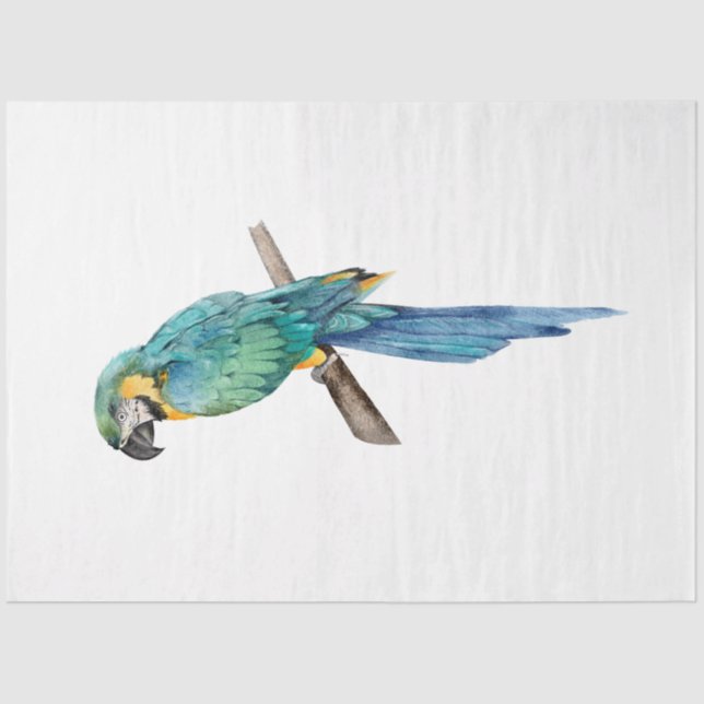 Tropical Bird Series : Blue Macaw Tissue Paper (Front)