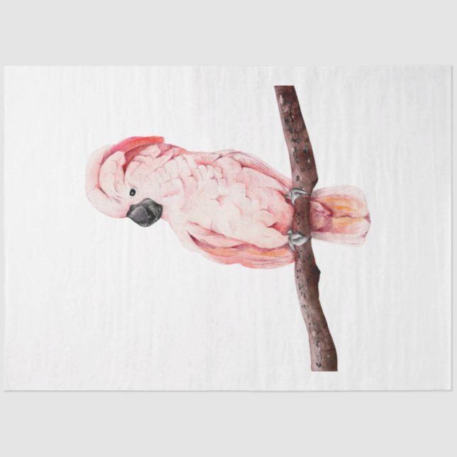 Tropical Bird Series : Cockatoo Tissue Paper (Front)