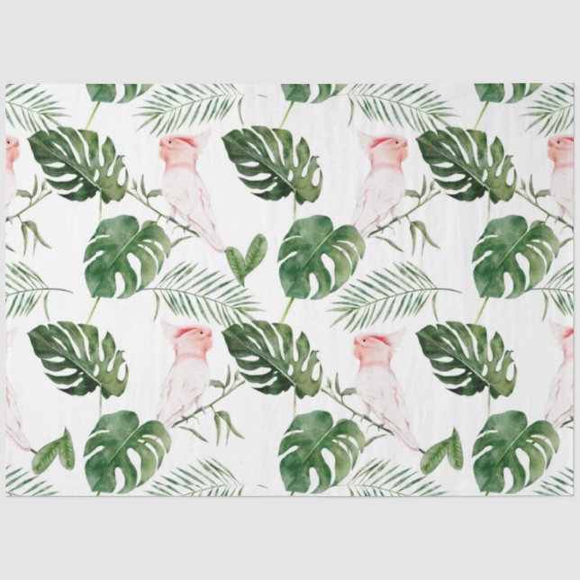 Tropical Bird Series : Major Mitchells Design 4 Tissue Paper (Front)