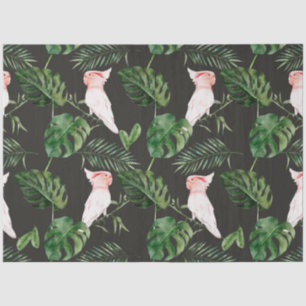 Tropical Bird Series : Major Mitchells Design 6 Tissue Paper