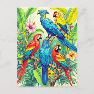Tropical Birds Botanical Illustration Postcard