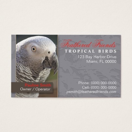 Tropical Birds Business Card