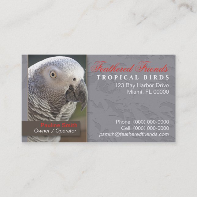 Tropical Birds Business Card (Front)