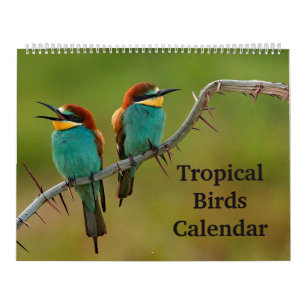 Tropical Birds Calendar