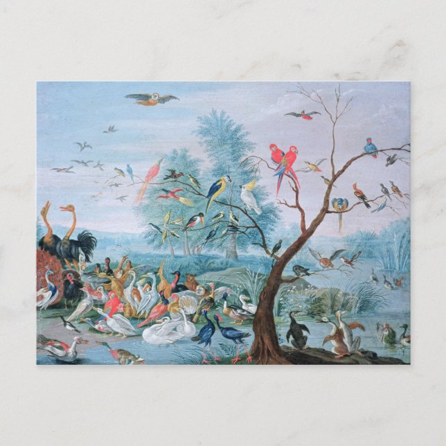 Tropical birds in a landscape postcard (Front)