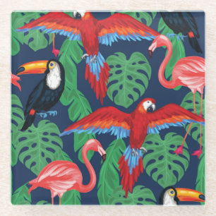 Tropical Birds In Bright Colours Glass Coaster