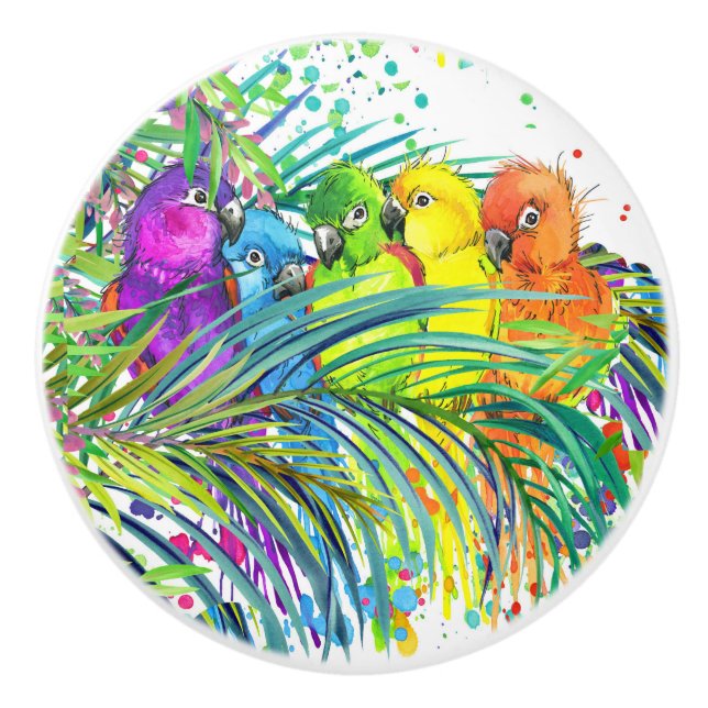 Tropical Birds of a Feather 2 Ceramic Knobs (Front)